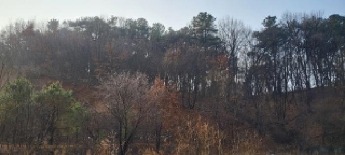 경기권 대표사진