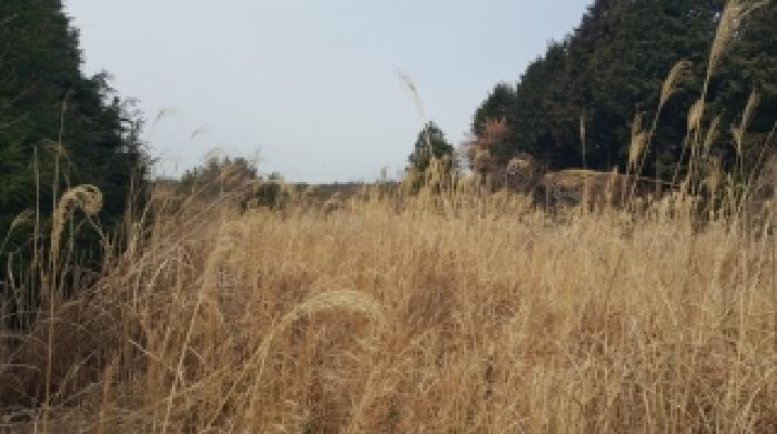 제주권 대표사진